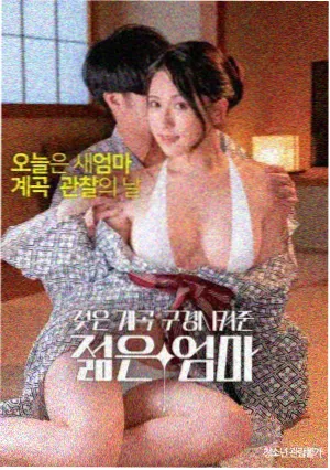 蔷薇与梨花电影海报